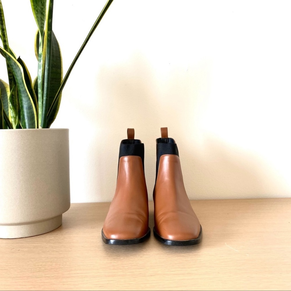 Everlane The Modern Chelsea Boot In Chestnut Black